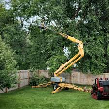 Best Fruit Tree Pruning  in Posen, IL