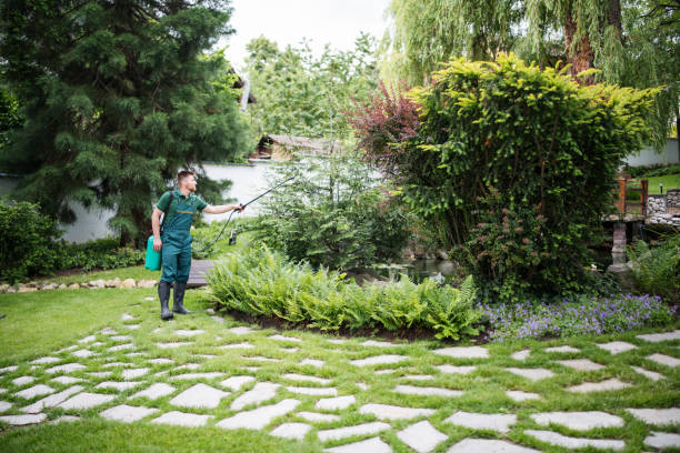 Best Tree Cabling and Bracing  in Posen, IL